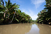 Kanal des Sepik River Delta durch dichten tropischen Dschungel; Provinz Madang, Papua-Neuguinea