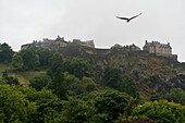An einem bewölkten, regnerischen Tag fliegt ein Vogel über Edinburgh Castle, in Edinburgh, Schottland; Edinburgh, Schottland