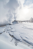 Grand Geyser erupting from the earth's crust releasing thermal steam into the air over the winter landscape in Yellowstone National Park; Wyoming, United States of America