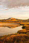 Goldenes Sonnenlicht über Electric Peak und der Gallatin Range spiegelt sich im Swan Lake der Swan Lake Flats im Herbst, Yellowstone National Park; Wyoming, Vereinigte Staaten von Amerika