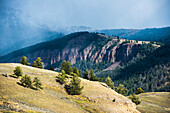 Sonnenbeschienener Berghang mit Schneefall auf den schattigen, mit Lodgepole-Kiefern (Pinus contorta) bewachsenen Bergen in der Ferne; Yellowstone National Park, Vereinigte Staaten von Amerika