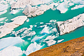 Ice floating in the water at Perito Moreno Glacier, Los Glaciares National Park, near El Calafate; Patagonia, Argentina