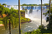 Blick durch Bäume auf die berühmten Iguazu Wasserfälle, Iguazu Falls National Park; Puerto Iguazu, Misiones, Argentinien