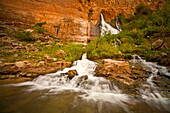 Waterfall and rushing water at Vasey's Paradise, Grand Canyon.