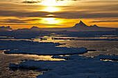 Pack ice at sunset.