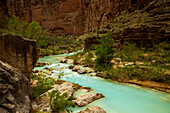 Hiker walking in the turquoise waters of Havasu Canyon.