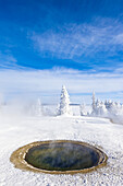 Steam rises from a hot spring in a snowy landscape.
