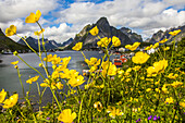 View of a coastal town through buttercup wildflowers.