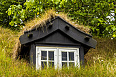 Close up of a window in a house with a traditional sod roof.