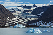 View of a tidewater glacier and snowy mountains.