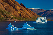 Eisberge treiben vor der Küste des Red Fjord.