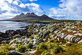 A rocky shoreline on Steeple Jason Island in the Falkland Islands.