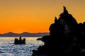 Tourists take a Zodiac cruise at sunrise in Espiritu Santo Archipelago National Park.