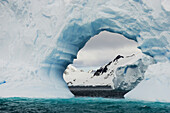 Geformter Eisberg mit Bogen nahe der Küste von Couverviller Island.
