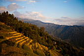 Rice paddies cut into the side of the Himalayan foothills.