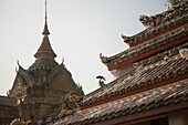 A crow on the roof of the Wat Pho temple in Thailand.