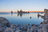 Calcium-carbonate spires and knobs formed by interaction of freshwater springs and alkaline water in Mono Lake.