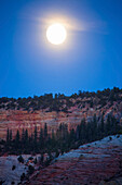 The full moon rising in Zion National Park.