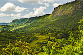 A forest-covered mountain range and escarpment, in western Kenya.; The Elgeyo Escarpment, along the western edge of the Kerio Valley, near Kabarnet, western Kenya.