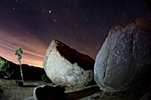 Große Felsbrocken und gespaltene Felsen bilden geheimnisvolle Formen vor dem nächtlichen Sternenhimmel; Joshua Tree National Park, Kalifornien, Vereinigte Staaten von Amerika