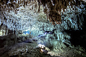 Ein Höhlentaucher durchquert einen schönen weißen Kalksteinabschnitt tief im Inneren eines Höhlensystems.