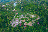 Luftaufnahme des Bergdorfes Sambangan mit Reisfeldern im Bezirk Sukasada; Buleleng, Bali, Indonesien