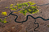 Luftaufnahme von gewundenen Flüssen und Feuchtgebieten an der kalifornischen Küste; Carpinteria, Kalifornien, Vereinigte Staaten von Amerika