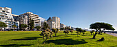 Buildings and parkland along the Sea Point Promenade in Cape Town; Sea Point, Cape Town, South Africa