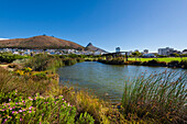 Green Point Park in Kapstadt mit Lion's Head Spitze in der Ferne; Green Point, Kapstadt, Südafrika