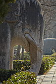 Eine Elefantenskulptur in einer Allee von Tierskulpturen in Mingxiaoling, dem Grabmal von Hongwu, dem ersten Kaiser der Ming-Dynastie, Nanjing, Provinz Jiangsu, China; Mingxiaoling, Purpurberg, Zijin Shan, Nanjing, Provinz Jiangsu, China.