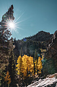 La Sal Mountains im Herbst mit einem hellen Sonnenaufgang am blauen Himmel, Teil der südlichen Rocky Mountains in Utah, USA; Utah, Vereinigte Staaten von Amerika