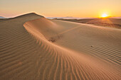 Gekräuselte Sanddünen im Licht des Sonnenuntergangs, Ebro-Flussdelta; Katalonien, Spanien