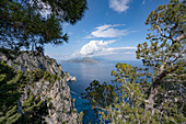 Blick durch die Bäume von den felsigen Klippen auf der Insel Capri über die Amalfiküste und die Bucht von Neapel; Neapel, Capri, Italien