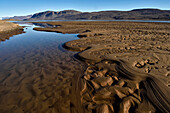 Mud formations carved out by the shallow waters of the southern inlet entering Lake Centrum So.; Greenland.