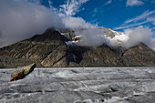 Landscape wilderness on the Aletsch Glacier.; Aletsch Glacier, Fiesch, Switzerland.