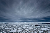 Eisberge in der Penola Strait mit dramatischen grauen Wolken, ein Punkt am südlichsten Ende der meisten Antarktis-Kreuzfahrten; Antarktis