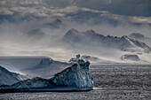 Starke Winde peitschen die Schneewolken in der Iceberg Alley auf dem Weg zur westlichen Antarktischen Halbinsel auf; Antarktis