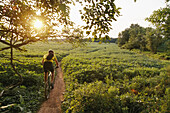 A bicyclist rides on a path through soybean fields.; Seneca State Park, Maryland, USA