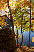 A fifteen year old paddles his SUP through brilliant Fall foliage on the Widewater section of the Chesapeake And Ohio Canal.; Potomac, Maryland.