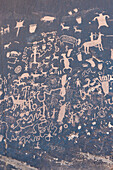 Einige der Petroglyphen im Newspaper Rock State Historic Monument im Canyonlands National Park. Unbekannt, wann oder warum die Zeichnungen entstanden sind; La Sal, Utah, Vereinigte Staaten von Amerika