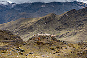 Lama (Lama glama) versammelt im Lares Tal mit Bergkulisse; Lares Tal, Cusco, Peru