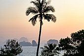 Silhouette of palm trees and karst rock formations overlooking the bay; Phang Nga Bay, Thailand