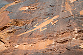 Alte Petroglyphen, die Eidechsen auf einer Felswand im Dinosaur National Monument darstellen; Utah, Vereinigte Staaten von Amerika