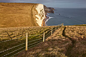 Sonnenbeschienene Kreidefelsen um Durdle Door mit Blick auf den Atlantik am Weltnaturerbe Jurassic Coast; Dorset, England, Großbritannien