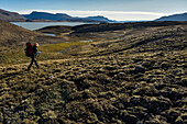 Walking the final stages of the hike resulted in 104km covered with bags weighing in at 25kg. A female expedition team member has the end in sight. With lake Centrum is just around the corner, she strites forward and marches on to base camp passing a patch of small yellow wild flowers.