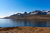 Das gebirgige Terrain der Ostfjorde mit blauem Himmel und ruhigem Wasser, eine atemberaubende Landschaft zum Durchreisen; Ostisland, Island
