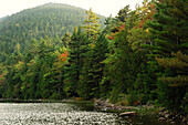 Bubble Pond und die umliegenden Wälder und Hügel im Herbst; Acadia National Park, Mount Desert Island, Maine.
