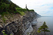 Sandstone and conglomerate cliffs line the coast of Forillon National Park.; Cap-Bon-Ami, Forillon National Park, Gaspe Peninsula, Quebec, Canada.