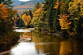 Blick auf den Swift River und den umliegenden Wald im Herbst; New Hampshire, USA.
