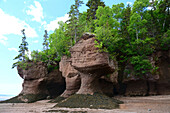 Blumentopfförmige Felsen, die durch die Erosion aufgrund der extremen Gezeiten in der Bay of Fundy entstanden sind; Hopewell Cape, New Brunswick, Kanada.